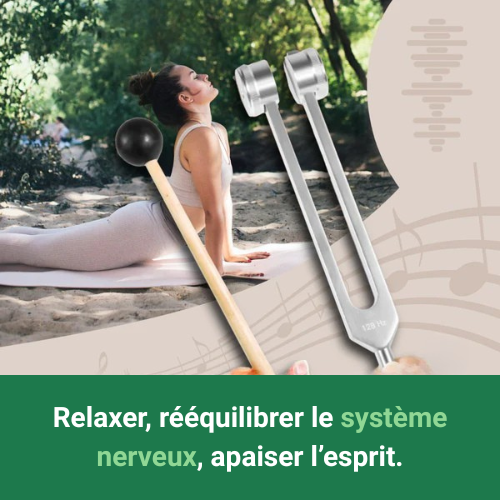 DIAPASON LISSANOVA - THÉRAPIE 528 Hz